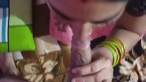 High-definition compilation of Bhabhis engaging in multiple sexual acts