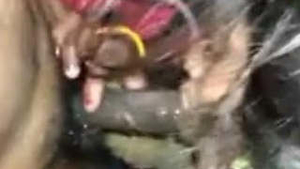 Sexy wife from India gives a sensual blowjob