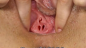 Defloration clips