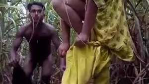 A lover of the Desi culture explores erotic play with sugarcane in the field