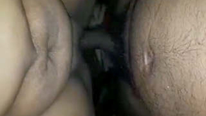 Desi bhabhi indulges in solo play and rides