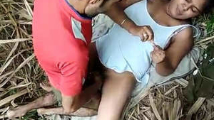 Local group of randi engages in outdoor group sex