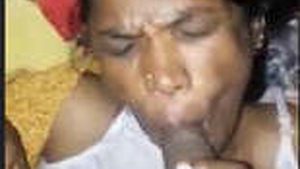 Indian village wife gives a sensual blowjob