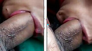 Desi indian hotwife slut Priya Kaur giving blowjob in the car