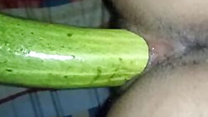 Fun with cucumber is how guy prepares obedient Desi GF for sex