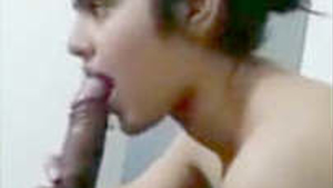 Cute Indian girl gives a blowjob in a hot porn video