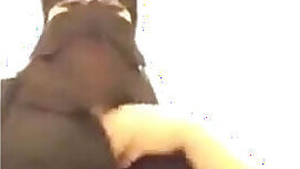 Hot arab bbw musterbition with her huge boobs