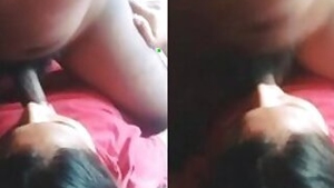 Desi Indian chick worships black dick to orgasm