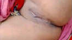 Lustful bhabi gets her delicious pussy pleasured in steamy video