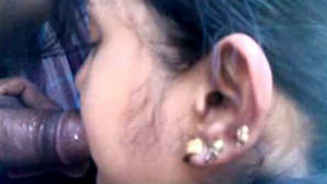 A girl craving sex pleasures her partner with a blowjob