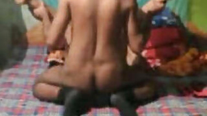 Desi Couple Maid Fucking